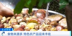  现在咱老百上常变常新